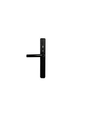 Q-Smart Door Handle